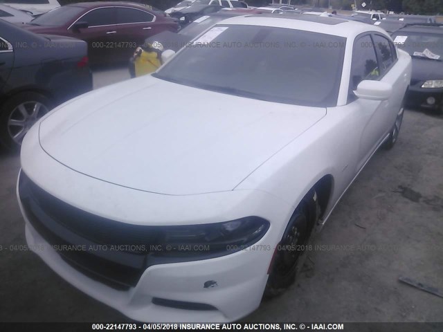 2C3CDXCT9FH889485 - 2015 DODGE CHARGER R/T WHITE photo 2