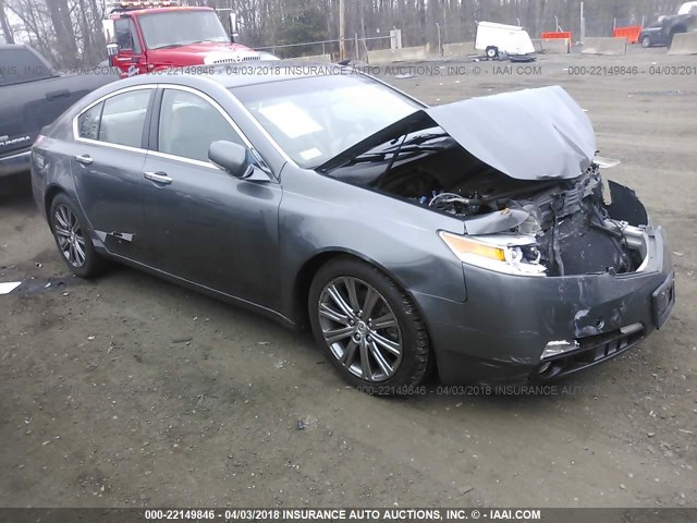 19UUA86589A017167 - 2009 ACURA TL GRAY photo 1