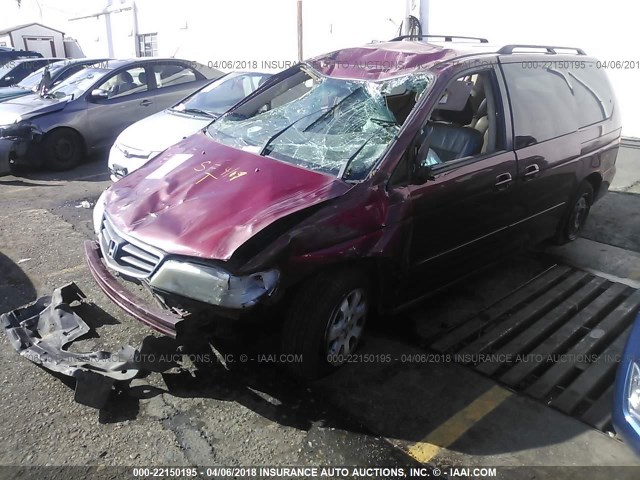 5FNRL18004B075510 - 2004 HONDA ODYSSEY EXL RED photo 2