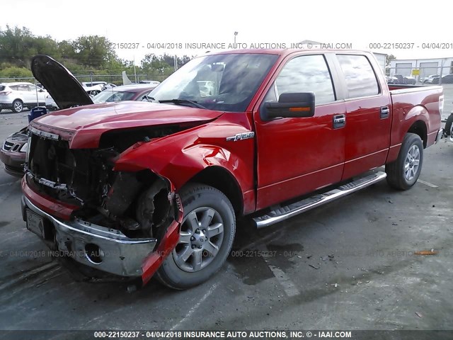 1FTFW1CF8DFA27366 - 2013 FORD F150 SUPERCREW RED photo 2