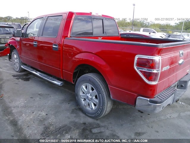 1FTFW1CF8DFA27366 - 2013 FORD F150 SUPERCREW RED photo 3