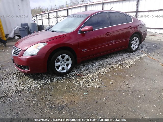 1N4CL21E09C155434 - 2009 NISSAN ALTIMA HYBRID RED photo 2