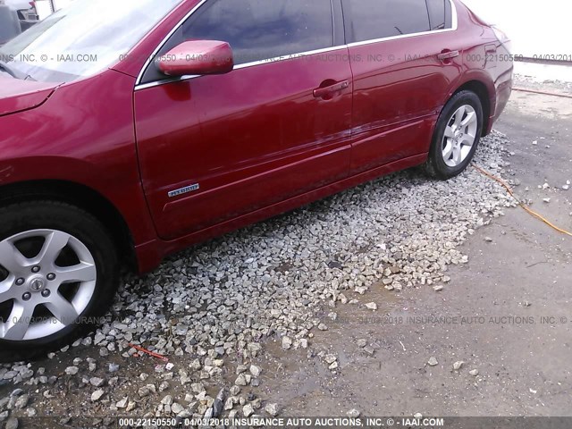 1N4CL21E09C155434 - 2009 NISSAN ALTIMA HYBRID RED photo 6