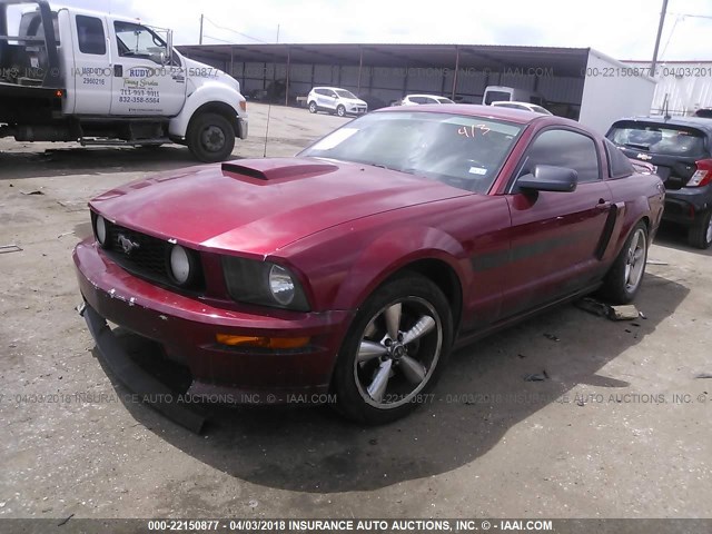 1ZVFT82H375325514 - 2007 FORD MUSTANG GT RED photo 2