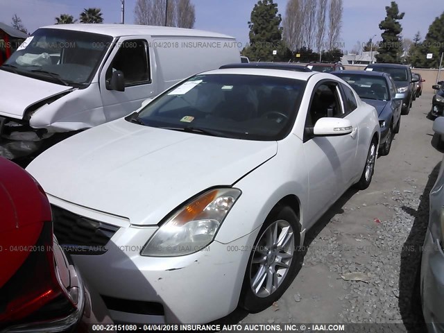 1N4BL24E58C101567 - 2008 NISSAN ALTIMA 3.5SE WHITE photo 2