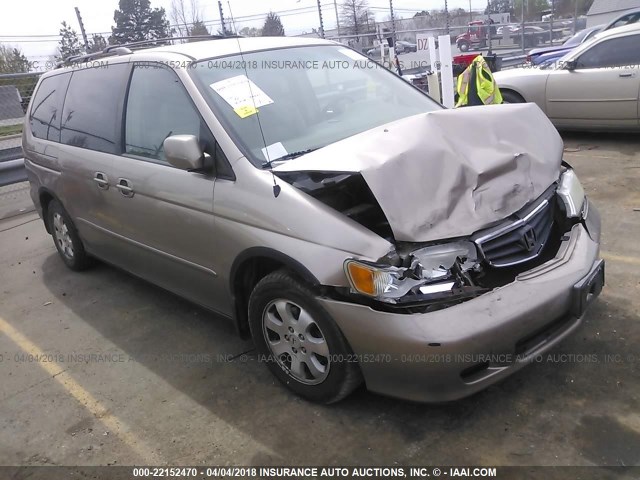 5FNRL18914B130609 - 2004 HONDA ODYSSEY EXL GOLD photo 1