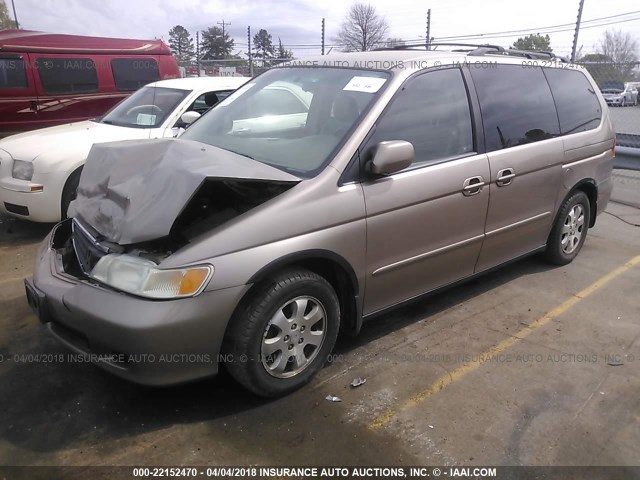 5FNRL18914B130609 - 2004 HONDA ODYSSEY EXL ოქროსფერი ფოტო 2