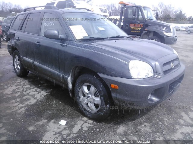 KM8SC13D96U091481 - 2006 HYUNDAI SANTA FE GLS/LIMITED GRAY photo 1