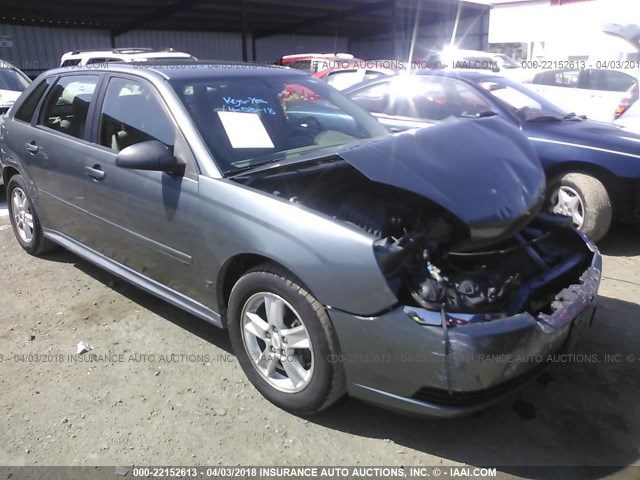 1G1ZT62845F171237 - 2005 CHEVROLET MALIBU MAXX LS GRAY photo 1