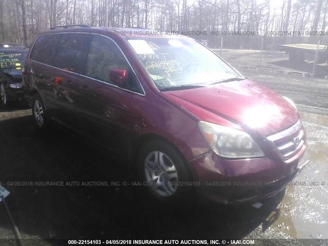 5FNRL38666B408621 - 2006 HONDA ODYSSEY EXL ბურგუნდია ფოტო 1