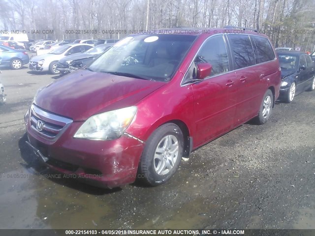 5FNRL38666B408621 - 2006 HONDA ODYSSEY EXL BURGUNDY photo 2