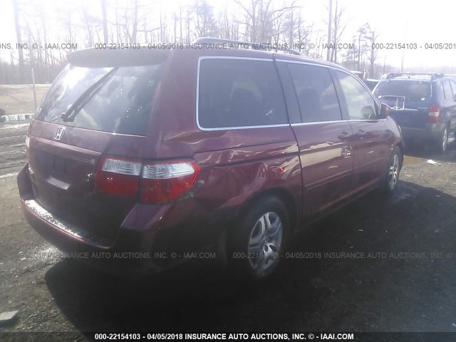 5FNRL38666B408621 - 2006 HONDA ODYSSEY EXL BURGUNDY photo 4