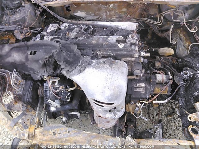 JTKDE167060079751 - 2006 TOYOTA SCION TC 勃艮第红 照片 10