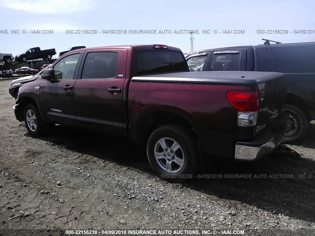 5TBDV54167S458600 - 2007 TOYOTA TUNDRA CREWMAX SR5 MAROON photo 3