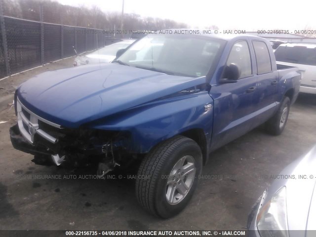 1D7CW3GP8AS229876 - 2010 DODGE DAKOTA SXT BLUE photo 2