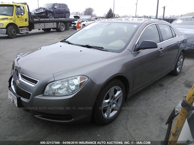 1G1ZB5EB9AF299567 - 2010 CHEVROLET MALIBU LS 棕色 照片 2