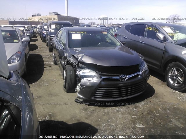 4T1BF1FKXFU880790 - 2015 TOYOTA CAMRY LE/XLE/SE/XSE Grau Foto 1