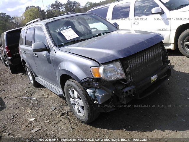 1FMCU0EG4AKA56242 - 2010 FORD ESCAPE LIMITED GRAY photo 1