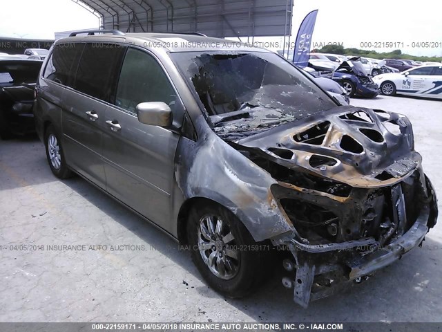 5FNRL38789B036194 - 2009 HONDA ODYSSEY EXL ოქროსფერი ფოტო 1
