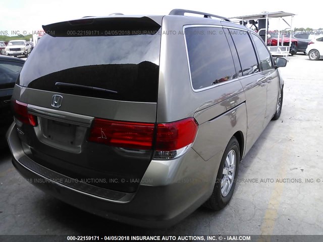 5FNRL38789B036194 - 2009 HONDA ODYSSEY EXL GOLD photo 4