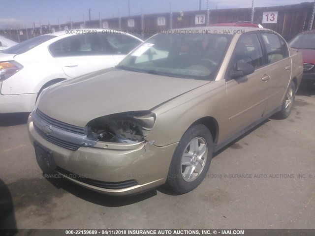 1G1ZT52855F305280 - 2005 CHEVROLET MALIBU LS 金色 照片 2