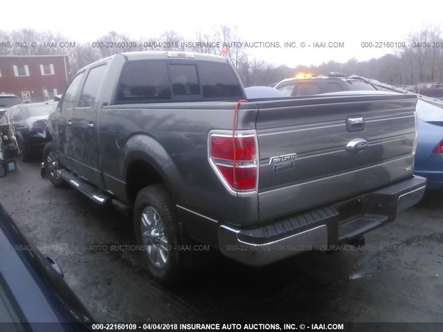 1FTFW1EV6AFA99229 - 2010 FORD F150 SUPERCREW GRAY photo 3