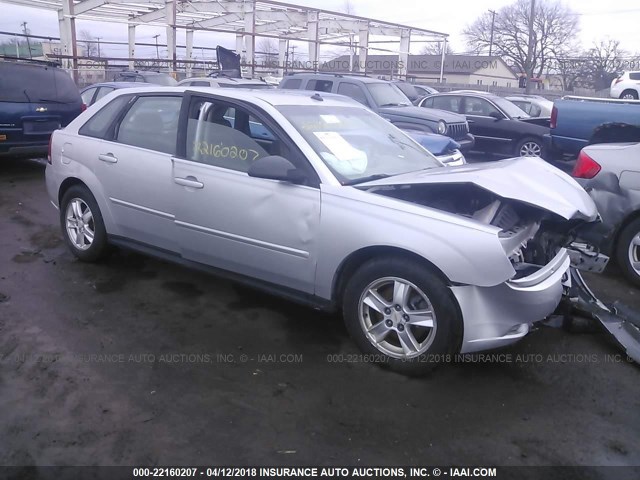 1G1ZT64864F221602 - 2004 CHEVROLET MALIBU MAXX LS 银色 照片 1