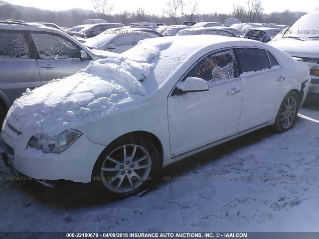 1G1ZK57B09F155981 - 2009 CHEVROLET MALIBU LTZ 白色 照片 2