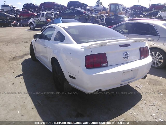 1ZVHT82H265128471 - 2006 FORD MUSTANG GT WHITE photo 3