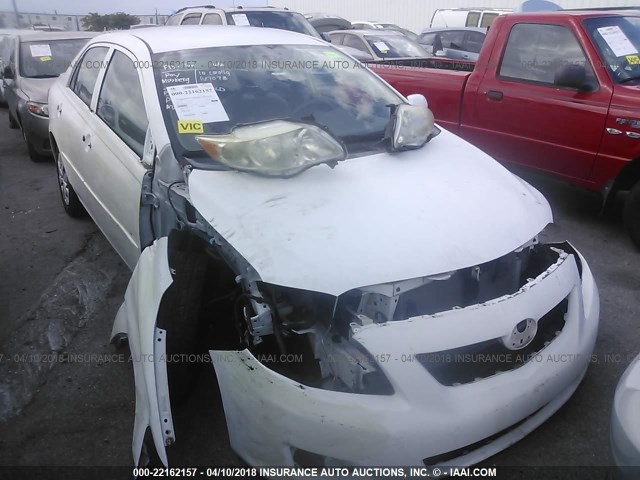 1NXBU4EE1AZ231147 - 2010 TOYOTA COROLLA S/LE/XLE WHITE photo 6