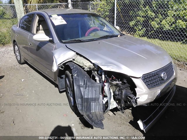 1N4AL11D55C955522 - 2005 NISSAN ALTIMA S/SL SILVER photo 1