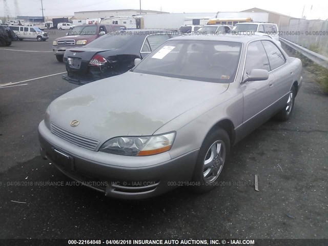 JT8BF12G5T0155069 - 1996 LEXUS ES 300 GRAY photo 2