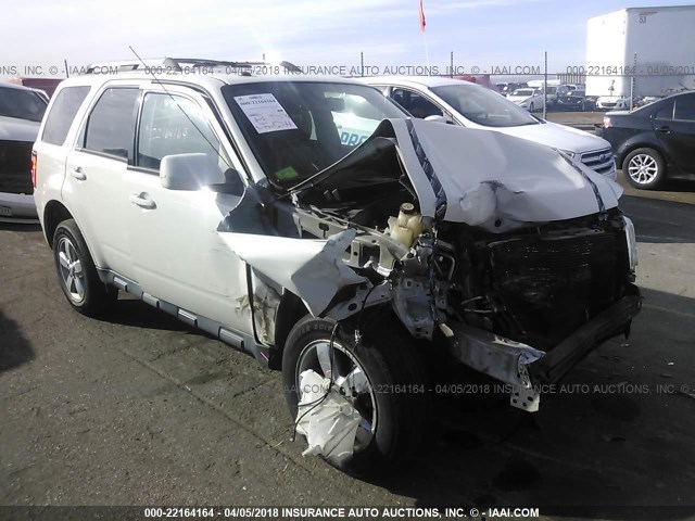 1FMCU9E79BKA54864 - 2011 FORD ESCAPE LIMITED WHITE photo 6