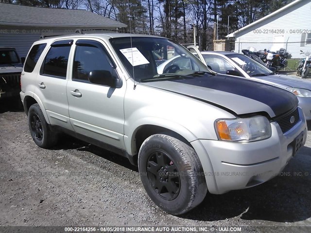 1FMCU94184KB34432 - 2004 FORD ESCAPE LIMITED GOLD photo 1