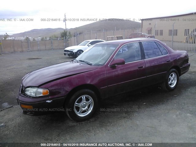 JT2BG12K3T0340202 - 1996 TOYOTA CAMRY DX/LE/XLE BURGUNDY photo 2