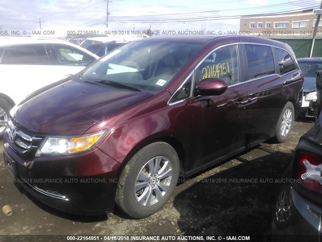 5FNRL5H33GB092839 - 2016 HONDA ODYSSEY SE BURGUNDY photo 2