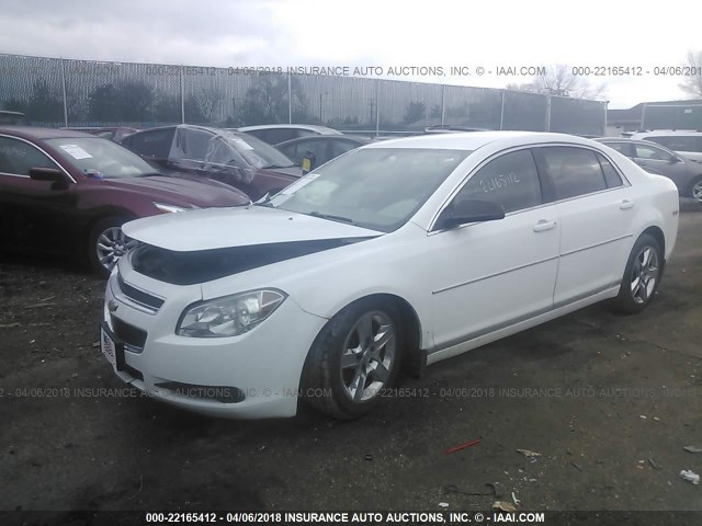 1G1ZB5EB4AF175772 - 2010 CHEVROLET MALIBU LS WHITE photo 2