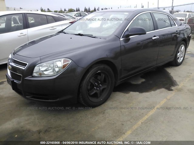 1G1ZA5E01CF352590 - 2012 CHEVROLET MALIBU LS Boz foto 2