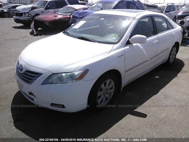 4T1BB46K29U105031 - 2009 TOYOTA CAMRY HYBRID WHITE photo 2