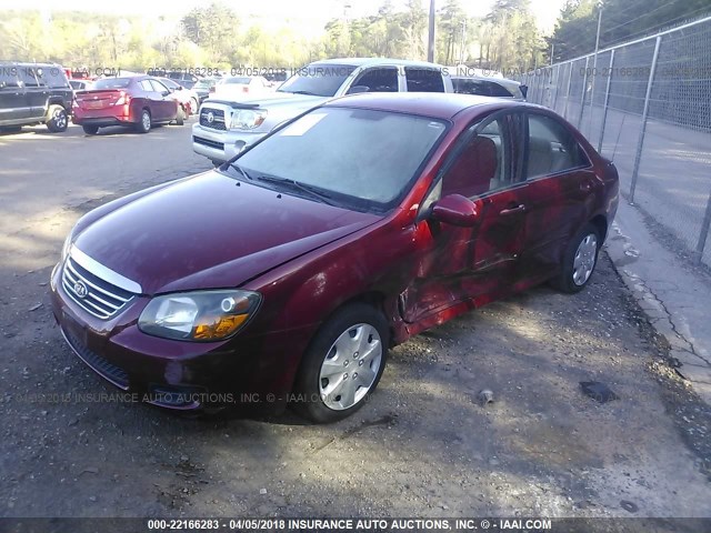 KNAFE221895658319 - 2009 KIA SPECTRA EX/LX/SX RED photo 2