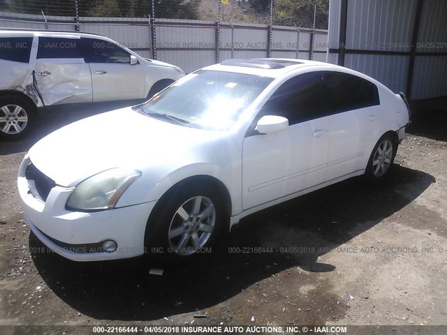 1N4BA41E65C835166 - 2005 NISSAN MAXIMA SE/SL WHITE photo 2