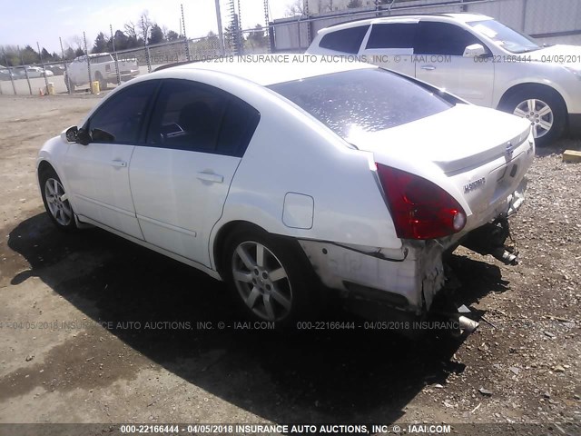 1N4BA41E65C835166 - 2005 NISSAN MAXIMA SE/SL WHITE photo 3