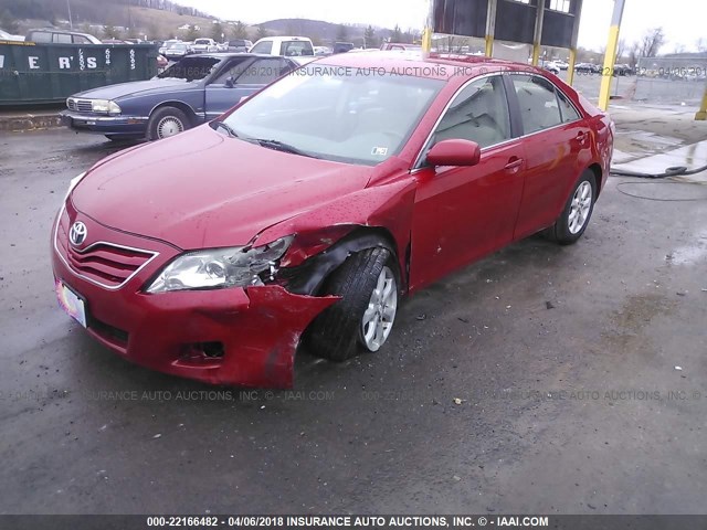 4T4BF3EK0BR203857 - 2011 TOYOTA CAMRY SE/LE/XLE RED photo 2