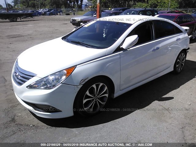 5NPEC4AC8EH826392 - 2014 HYUNDAI SONATA SE/LIMITED WHITE photo 2