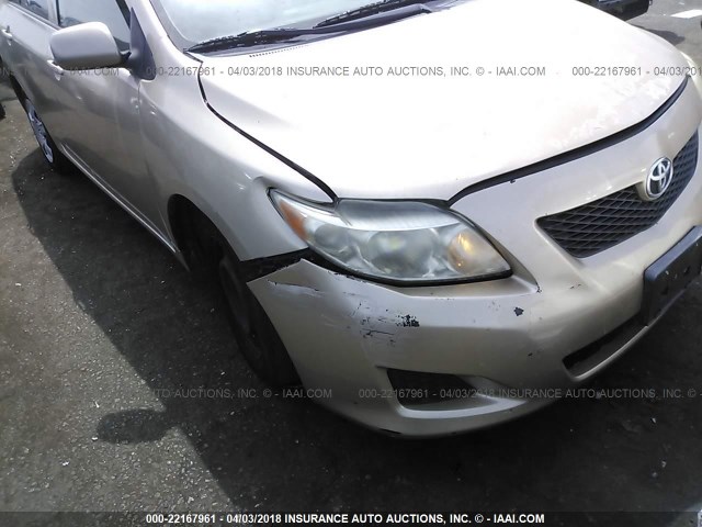 1NXBU40E59Z038051 - 2009 TOYOTA COROLLA S/LE/XLE GOLD photo 6