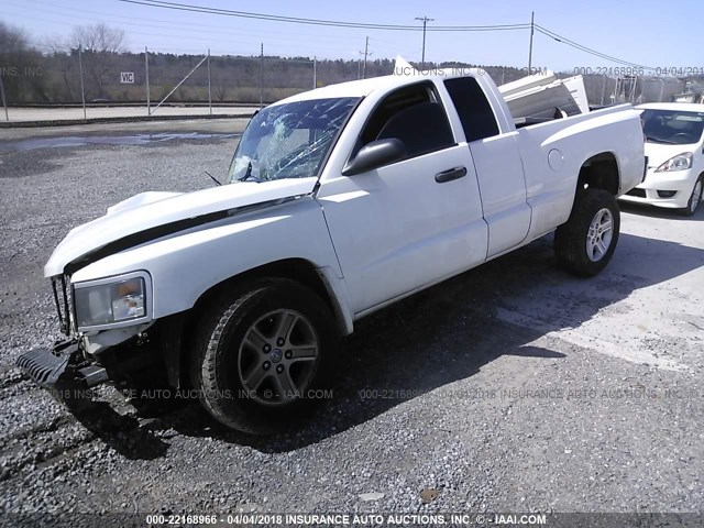 1D7RE3BK1BS609314 - 2011 DODGE DAKOTA SLT WHITE photo 2