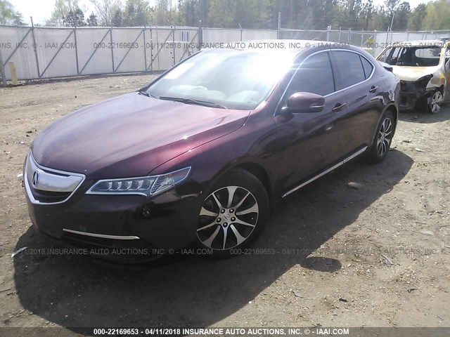 19UUB1F36FA023824 - 2015 ACURA TLX PURPLE photo 2