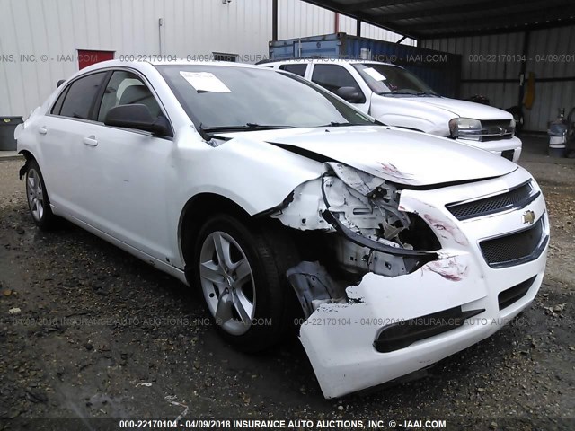 1G1ZA5E05AF106381 - 2010 CHEVROLET MALIBU LS თეთრი ფოტო 1