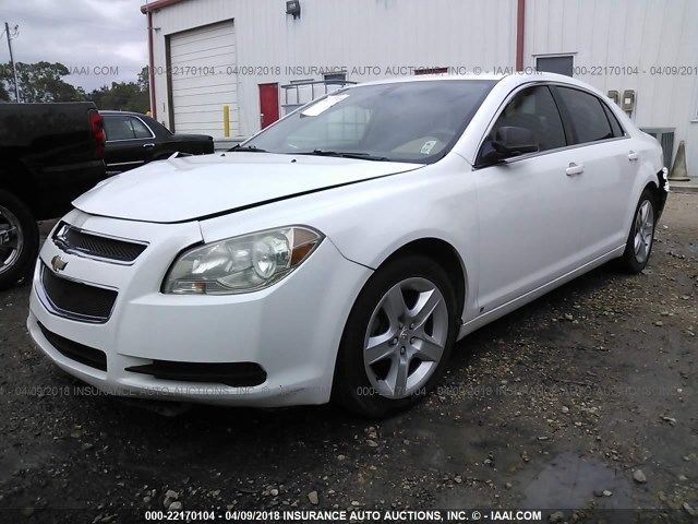 1G1ZA5E05AF106381 - 2010 CHEVROLET MALIBU LS თეთრი ფოტო 2