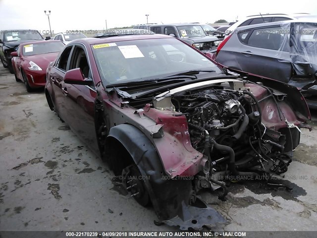 1G6DA5EY5B0151688 - 2011 CADILLAC CTS RED photo 1